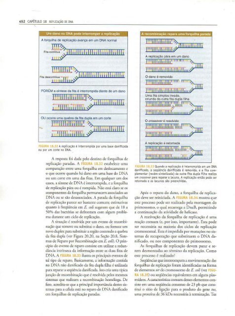 Genes IX Benjamin Lewin - PortuguesBR