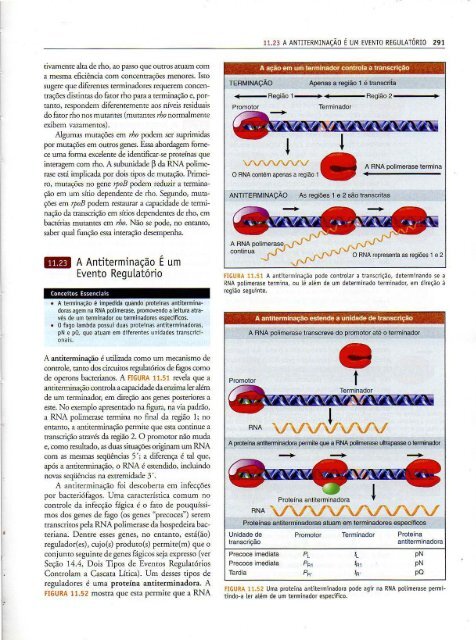 Genes IX Benjamin Lewin - PortuguesBR