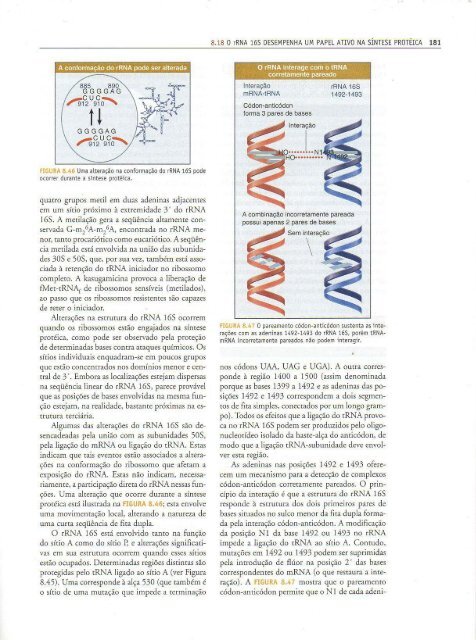 Genes IX Benjamin Lewin - PortuguesBR