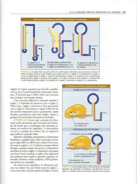 Genes IX Benjamin Lewin - PortuguesBR