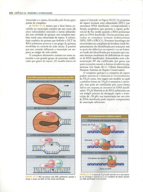 Genes IX Benjamin Lewin - PortuguesBR