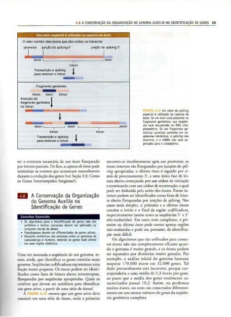 Genes IX Benjamin Lewin - PortuguesBR