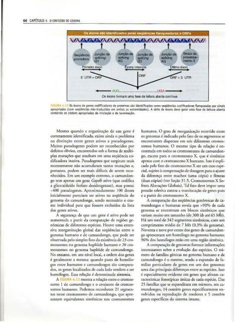 Genes IX Benjamin Lewin - PortuguesBR