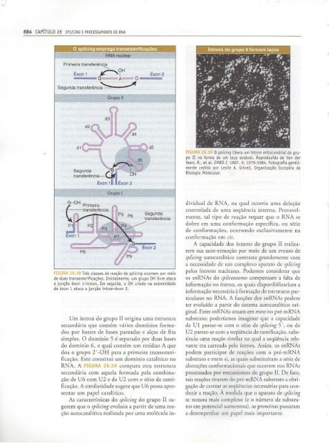 Genes IX Benjamin Lewin - PortuguesBR