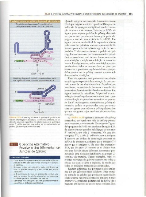 Genes IX Benjamin Lewin - PortuguesBR