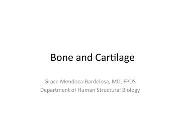 Micro A, 4 Bone & Cartilage copy