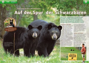 Auf der Spur der Schwarzbären TIERE - Kiknet