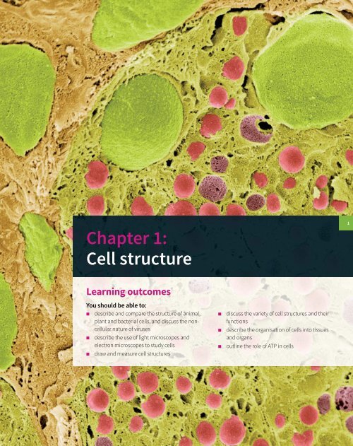 Cambridge International A Level Biology Revision Guide