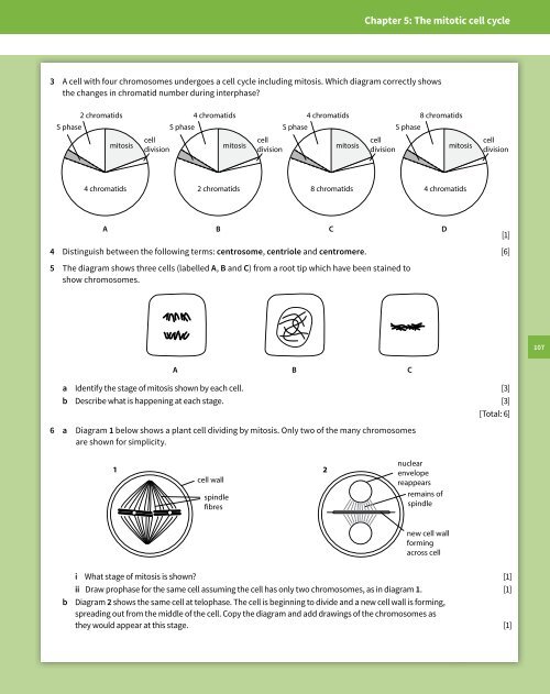 Cambridge International A Level Biology Revision Guide