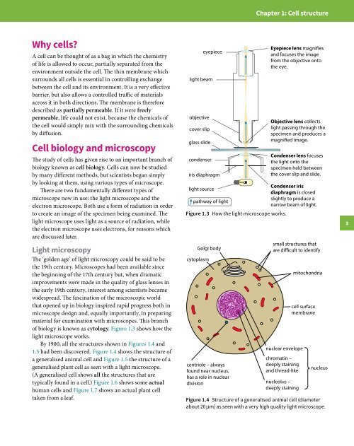 Cambridge International A Level Biology Revision Guide