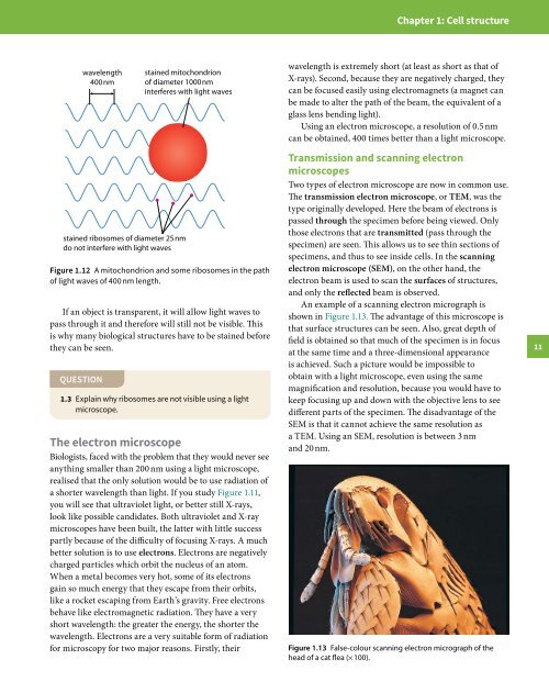 Cambridge International A Level Biology Revision Guide