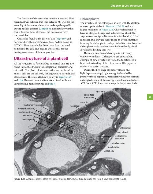 Cambridge International A Level Biology Revision Guide