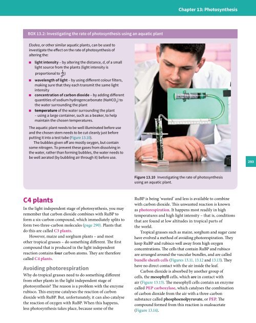 Cambridge International A Level Biology Revision Guide