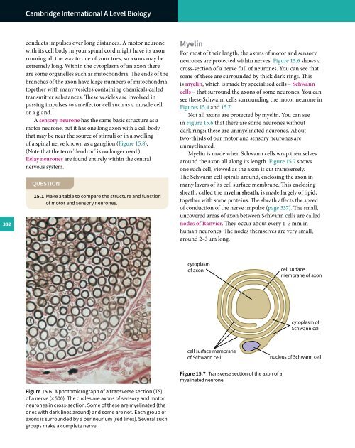 Cambridge International A Level Biology Revision Guide