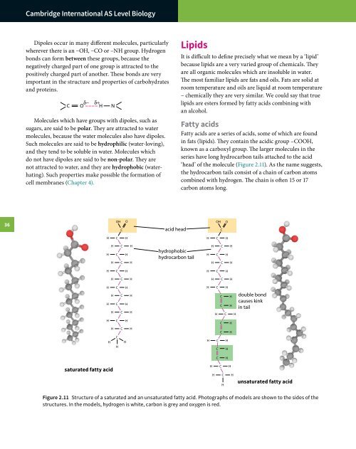 Cambridge International A Level Biology Revision Guide