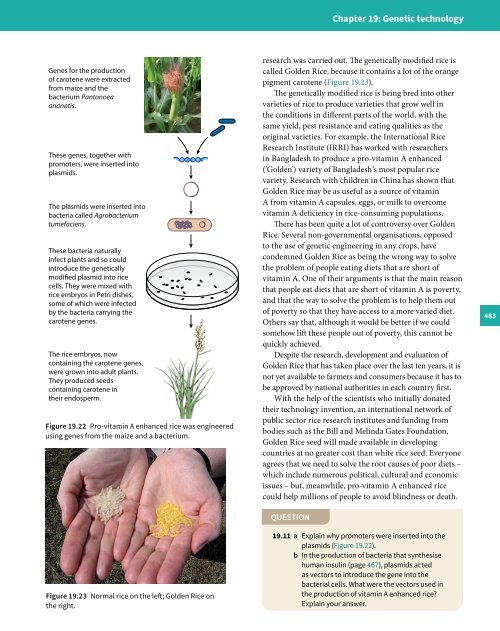 Cambridge International A Level Biology Revision Guide