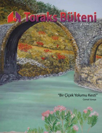 Toraks Bülteni - Aralık 2010