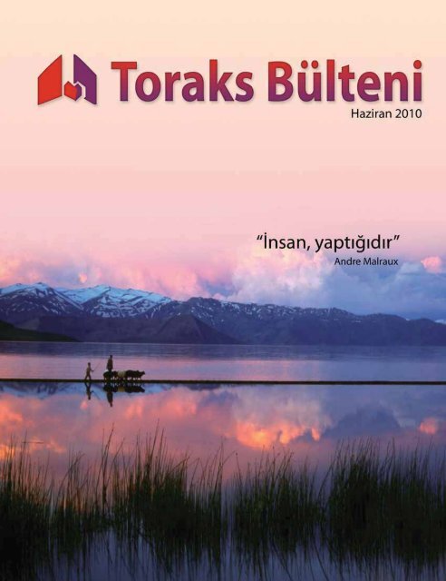 Toraks Bülteni - Haziran 2010