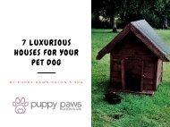 7 Luxurious Houses For Your Pet Dog