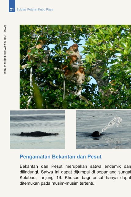 Panduan Wisata Bumi Mangrove Kubu Raya Flipbook