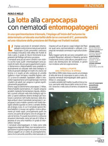 agricoltura-2010-09-nematodi-entomopatogeni