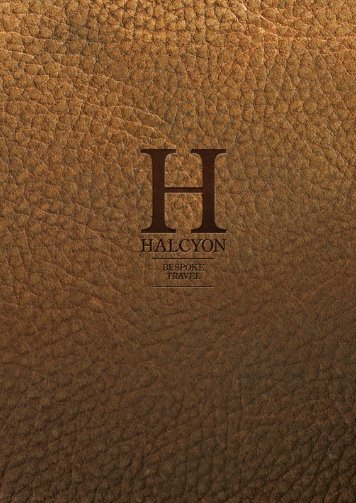 Halcyon Passport 