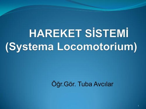 hareket sistemi -5.Hafta