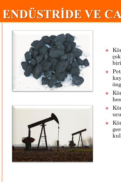 10. Sınıf Endüstride ve Canlılarda Enerji - Fosil Yakıtlar