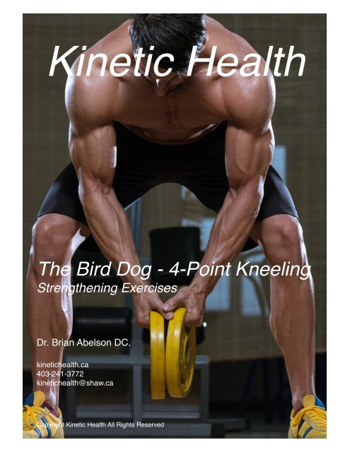 The Bird Dog - 4-Point Kneeling