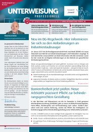 Unterweisung professionell_Nr. 1_17_Sonderausgabe