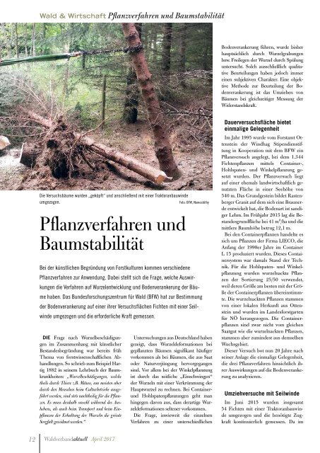 Waldverband Aktuell - Ausgabe 2017-02