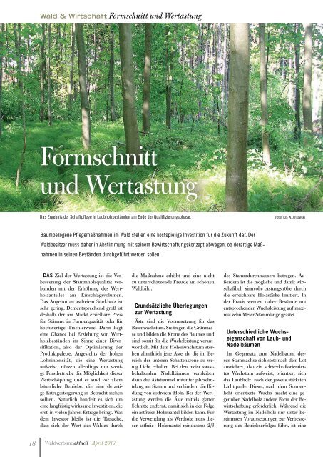 Waldverband Aktuell - Ausgabe 2017-02