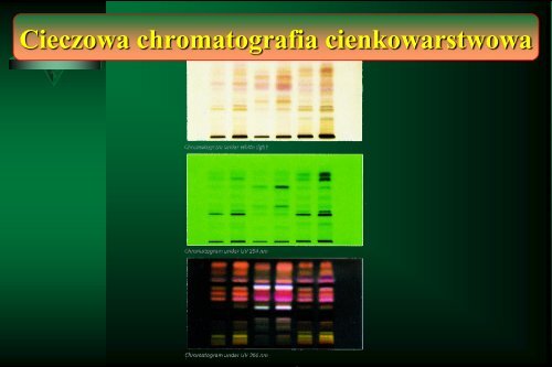 Cam Sep Lect 1 Chromatografia Bronislaw K. Glod