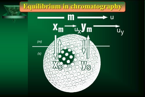 Cam Sep Lect 1 Chromatografia Bronislaw K. Glod