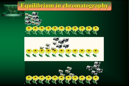 Cam Sep Lect 1 Chromatografia Bronislaw K. Glod