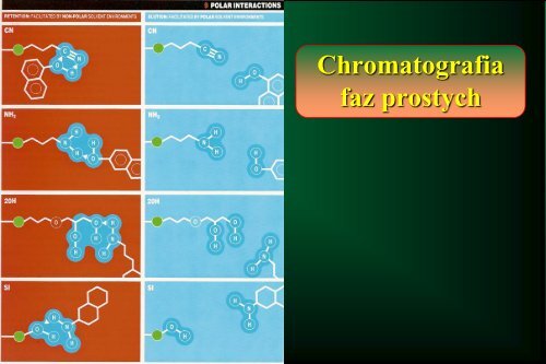 Cam Sep Lect 1 Chromatografia Bronislaw K. Glod