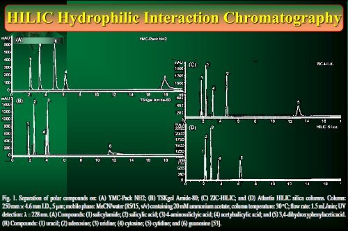 Cam Sep Lect 1 Chromatografia Bronislaw K. Glod