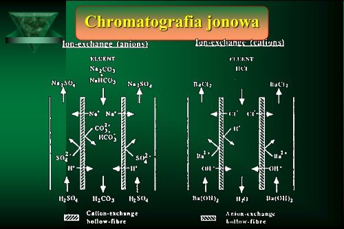 Cam Sep Lect 1 Chromatografia Bronislaw K. Glod