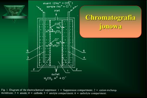 Cam Sep Lect 1 Chromatografia Bronislaw K. Glod