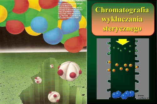 Cam Sep Lect 1 Chromatografia Bronislaw K. Glod