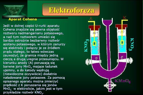 Cam Sep Lect 1 Chromatografia Bronislaw K. Glod