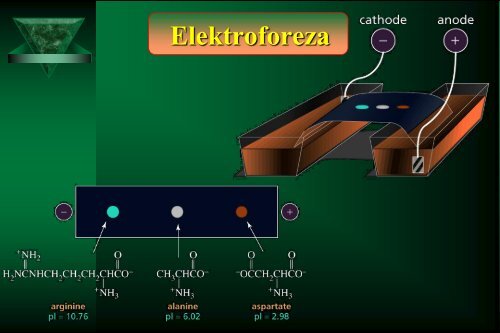 Cam Sep Lect 1 Chromatografia Bronislaw K. Glod