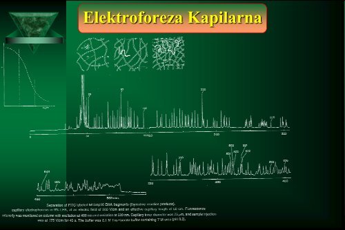 Cam Sep Lect 1 Chromatografia Bronislaw K. Glod