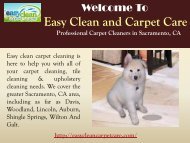 Carpet Cleaning Sacramento, CA| Easy Clean Carpet Care