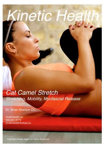Cat Camel Stretch 