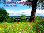 FREE DESKTOP WALLPAPER