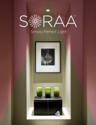 Soraa_Summary_Brochure_4.9