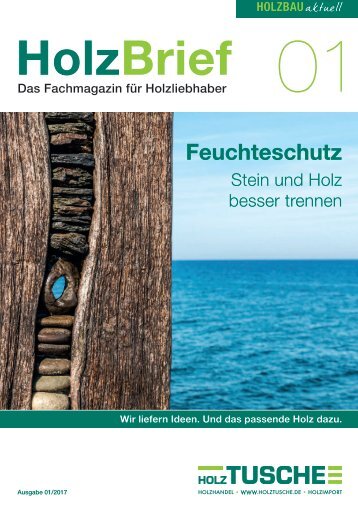 2017-01 HolzBrief HolzbauAktuell