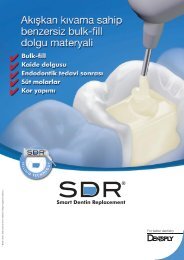 Dentsply SDR