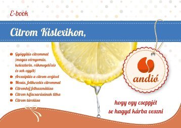 ANDIÓ Citrom kislexikon e-book fekvő v02